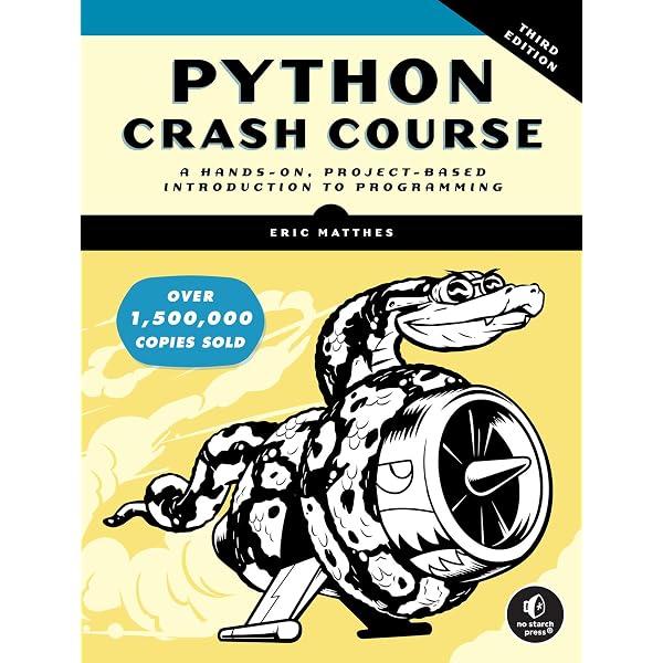Amazon.com: Introduction to Data Science: A Python Approach to