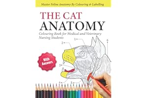 The Cat Anatomy Colouring Book For Medical and Veterinary Nursing Students - Master Feline Anatomy By Colouring and Labelling