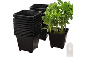 Tulpeed 25 Packs Square Nursery Pots for Plants 3.5 Inch Succulent Plant Pots Set Plastic Seedling Starting Pots with Drainage Holes Nursery Pots Variety Pack Flower pots Planter Seed Starter, Black