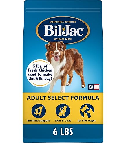 Amazon.com: Bil-Jac Alimento seco para perros adultos de raza