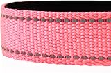 Joytale Reflective Dog Collar Neon Pink Small Adjustable Neoprene Padding view 4