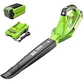 Greenworks 40V Leaf Blower/Sweeper, 150 MPH / 135 CFM, Lightweight, Quiet, with 2.0 Ah Battery and Charger, Perfect for Residential Lawn Care, Leaf Blowing Debris, Dust, Light Snow, and More