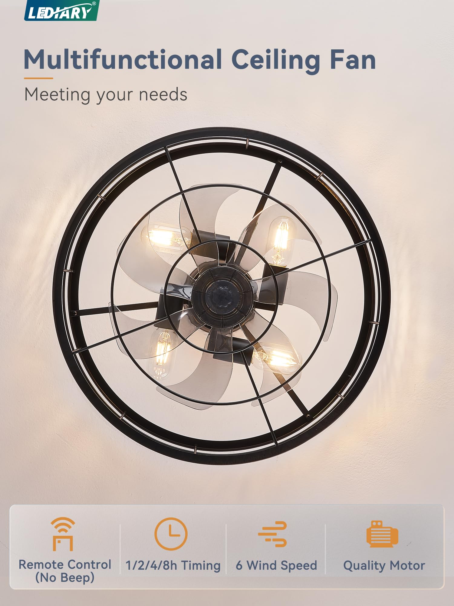 LEDIARY 20 inch Fandelier Caged Ceiling Fan with Light, Bladeless Ceiling Fan with Remote, Farmhouse Fan Lights Ceiling Fixtures for Kitchen, Bedroom, Outdoor(6 Speed, Timing)-Black