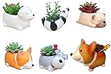 6 PCS Set Cute Cartoon Animal Corgi Pug Schnauzer