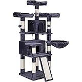 catalpa cat tree amazon