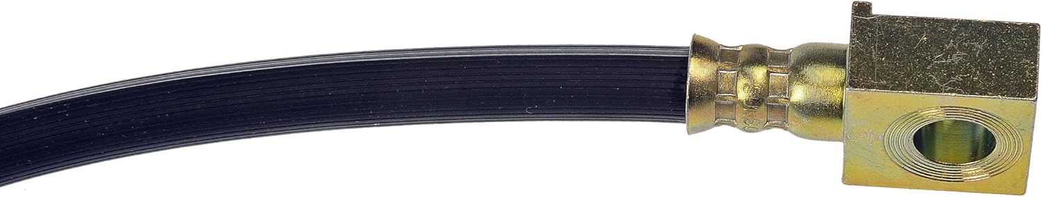 Dorman