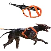 Non-stop dogwear Freemotion Harness 5.0 Dog Pulling Harness for Sports Like Running, Biking and Skiing with Dogs, Professional Adjustable Dog Harness, Orange/Black, Size 7