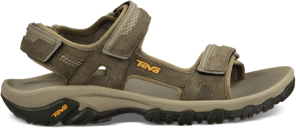 teva 1002433