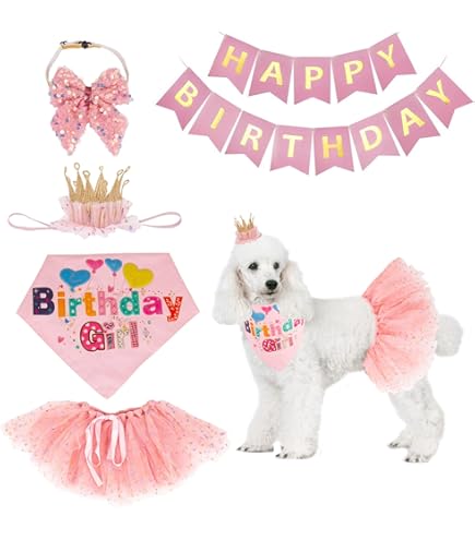 Princess Dog Crown Hat & Scarf Set - Birthday Party Outfit With Flower Leglets For Small Dogs