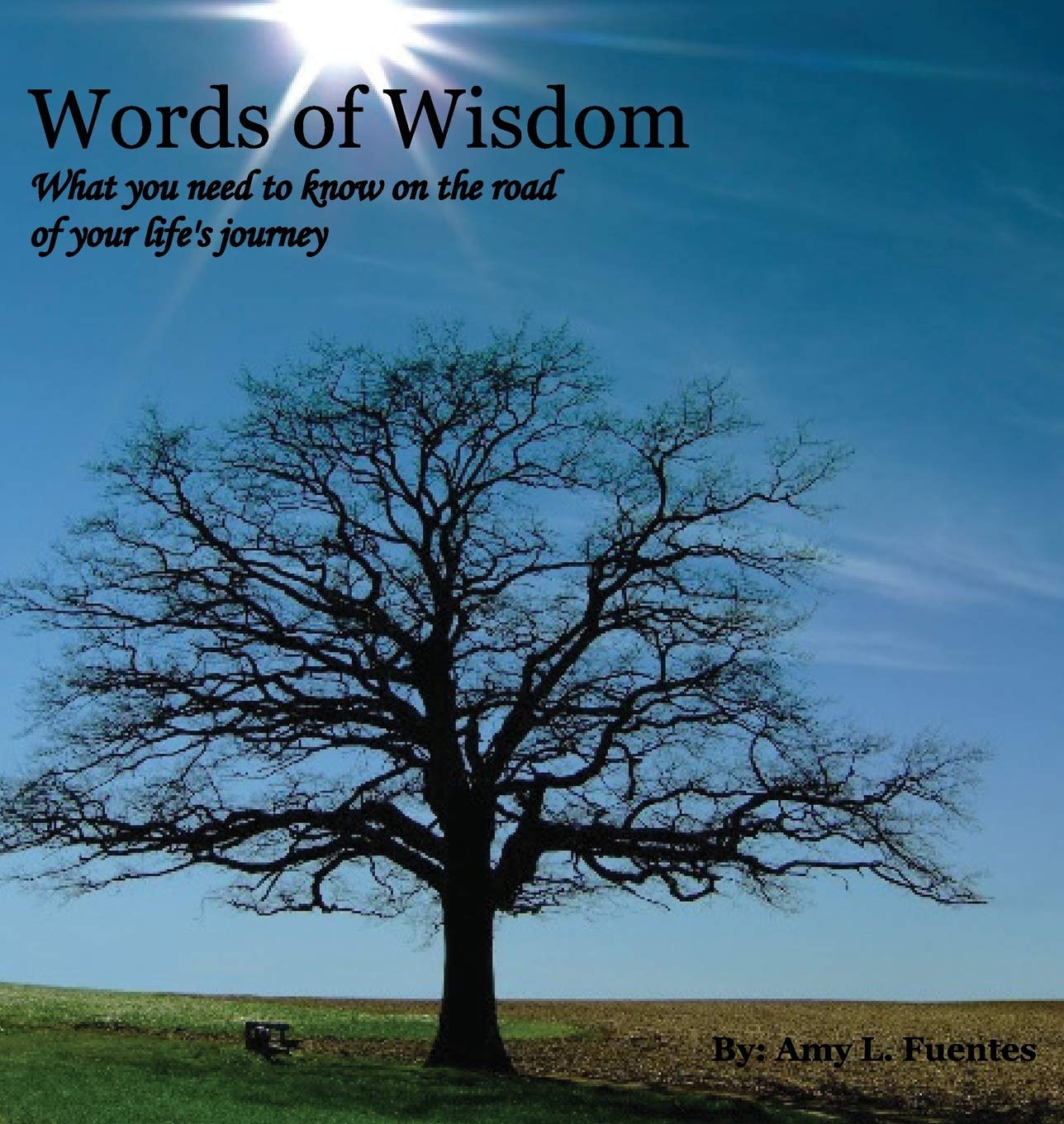 Words Of Wisdom What You Need To Know On The Road Of Your Life S Journey Fuentes Amy 9781925939798 Amazon Com Books