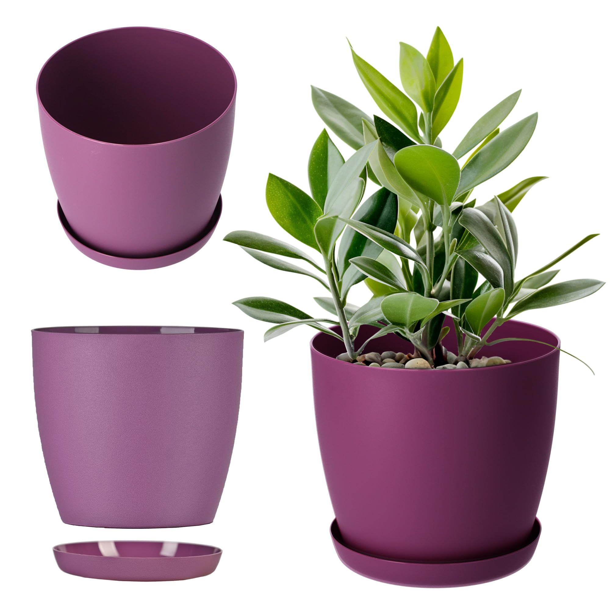 KADAX Plant Pot, Indoor Flowerpot with Saucer for Houseplants, Stylish Planter with Elegant Matte Finish for Succulents, Herbs (⌀ 12 cm, Purple)
