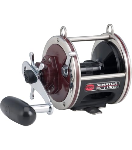 PENN Senator Star Drag Conventional Nearshore/Offshore Fishing Reel, HT-100 Star Drag, Max of 24lb