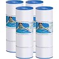 TOREAD Poolfilter-Kartuschen 4er Pack – Ersatz Für Pentair CCP320 U.a., 80 M² Filterfläche | NSF-zertifiziert