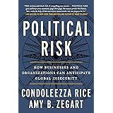 Political Risk: How Businesses and Organizations Can Anticipate Global Insecurity