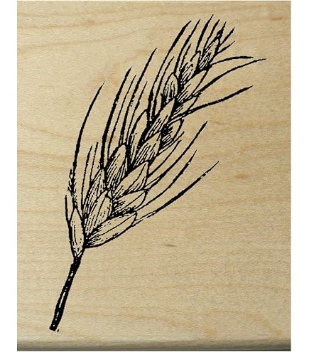 Compass Rubber Cling Stamp
