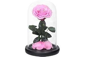 Livoccur Forever Pink Rose and Preserved Rose in Glass Dome, Made from Real Preserved Flowers, Beauty and The Beast Rose, Red Roses Never Withered Gift for Her, Valentine's, Mother's Day, Birthday