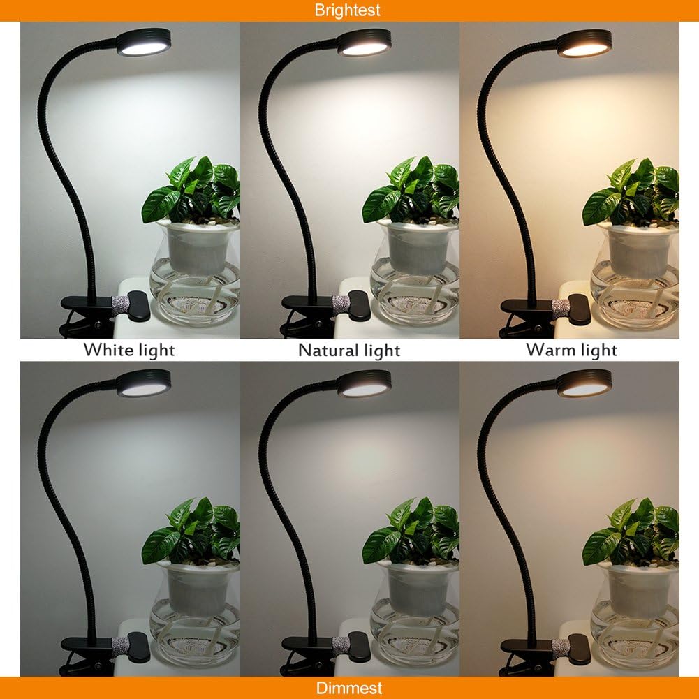 LEPOWER New Version Metal Clip On Light, Flexible Bed Light with 3 Colors x Stepless Adjustable Brightness, Eye Caring Reading Light for Desk, Bed Headboard and Computers(Black)-No AC Adapter - - 
