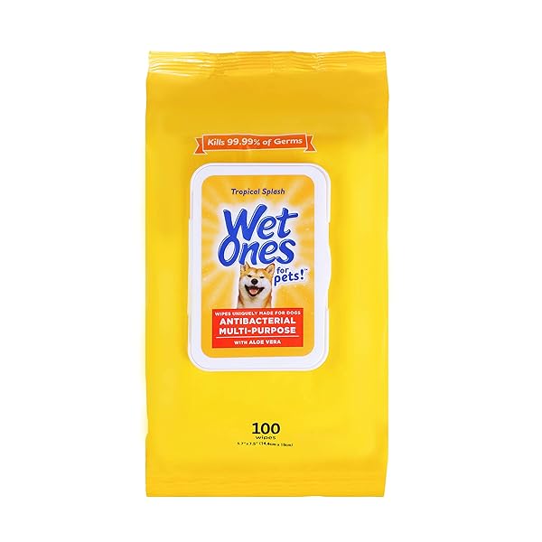WET ONES FOR PETS MULTI-PURPOSE DOG WIPES WITH ALOE VERA DOG WIPES FOR ALL DOGS IN TROPICAL SPLASH WIPES FOR DOG PAWS & ALL OVER USE (PACK OF 1,100 COUNT TOTAL)