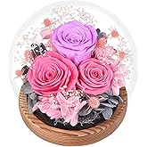 Forever Flowers Roses for Her - Preserved Real Flowers in Glass Dome - for Birthday Anniversary All Occasions Decorations - for Woman Mom Grandma Sister Friend