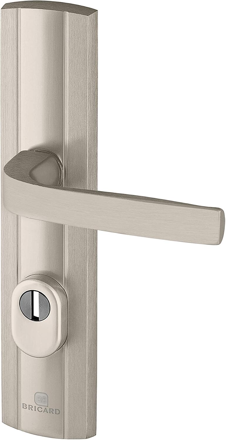 Bricard 9910151 Set of Armoured Handles on Expression Plate Entrance Door Stand (for European Cylinders) Stainless Steel