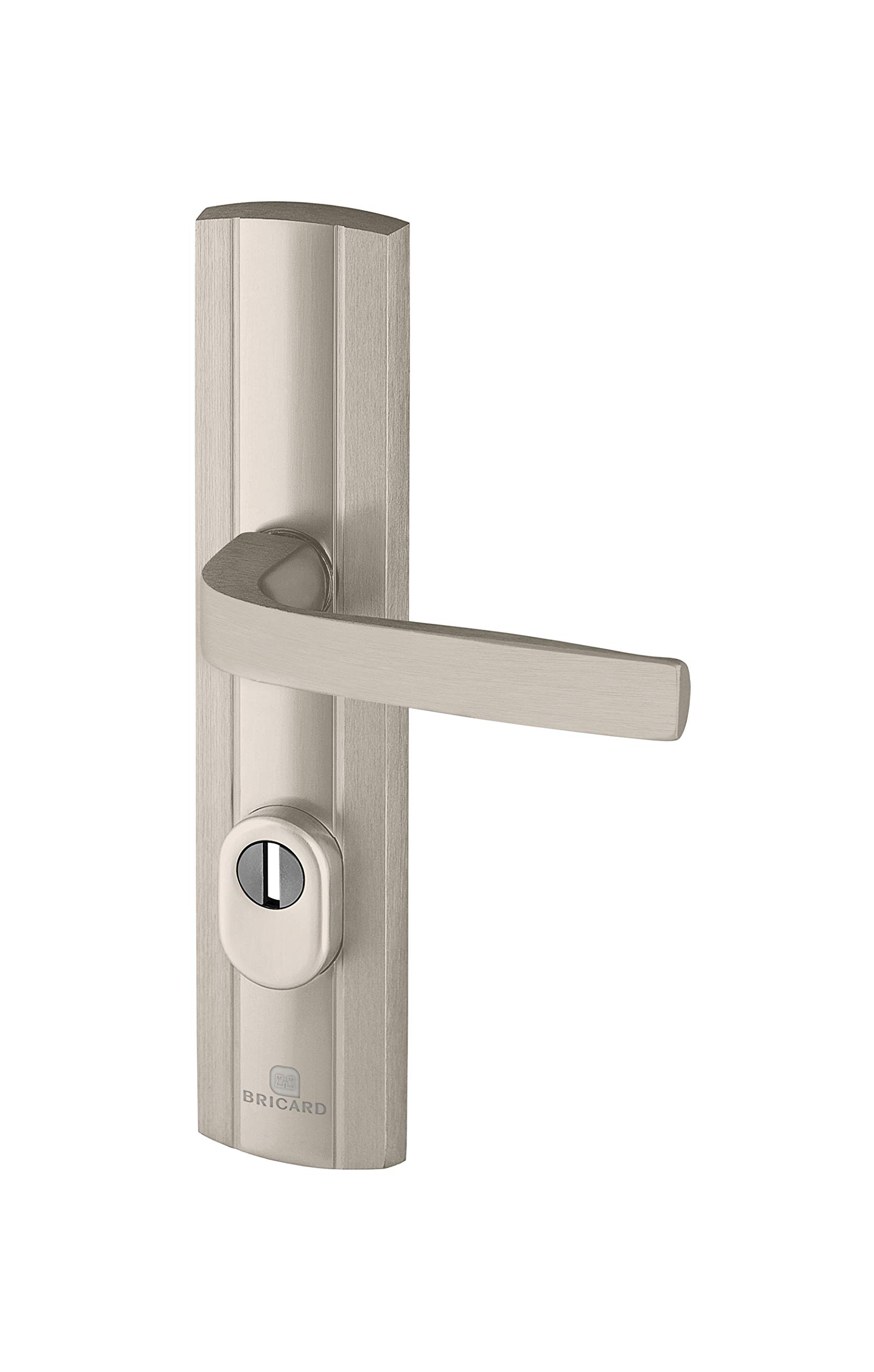 Bricard 9910151 Set of Armoured Handles on Expression Plate Entrance Door Stand (for European Cylinders) Stainless Steel, stainlesssteel