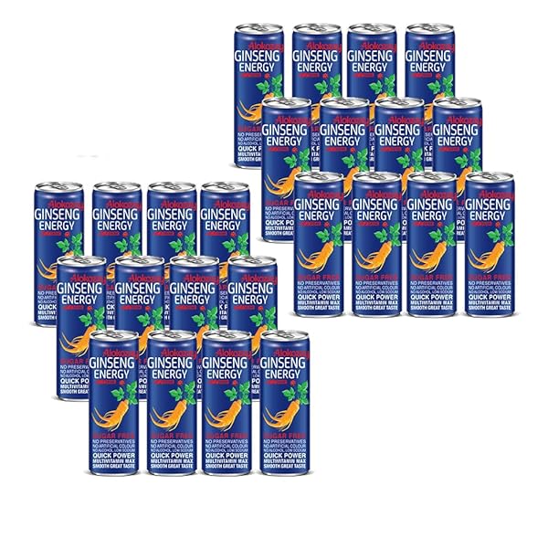 ALOKOZAY GINSENG ENERGY DRINK 24 CANS – NATURAL ENERGY & FOCUS ALL DAY LONG – SUGAR-FREE, VITAMIN-PACKED DRINK – 250ML EACH