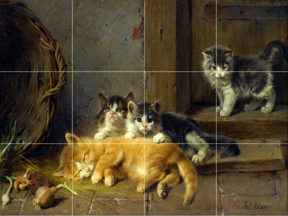 Foto 10 di 10