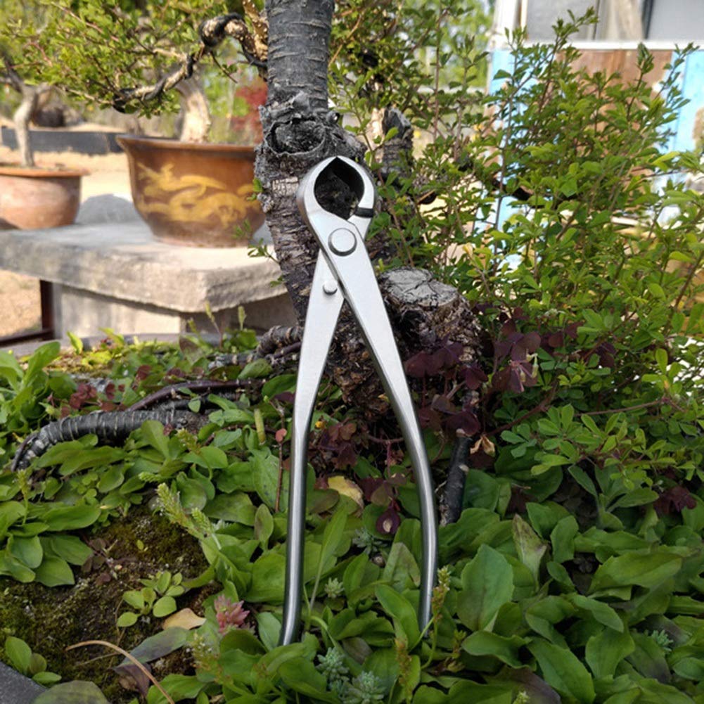 Concave Bonsai Branch Pruning Shears Stainless Steel 180mm Knob Cutter with Comfortable Handle