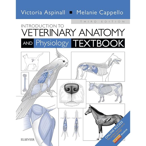 Introduction to Veterinary Anatomy and Physiology E-Book - Kindle