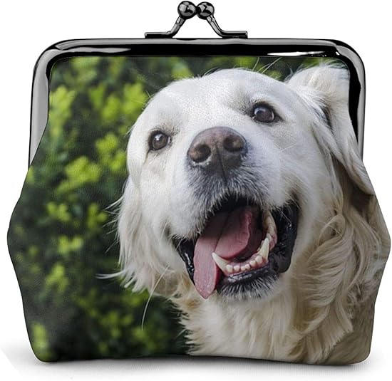 Coin Purse Funny Golden Retriever Wallet Buckle Leather Travel Makeup