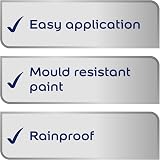 Dulux Weathershield Exterior High Gloss Paint 750 ml Oxford Blue view 3