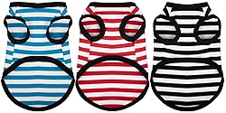 Paiaite 3-Piece Striped Shirt Set - Light Color