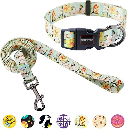 cute puppy collars and leashes