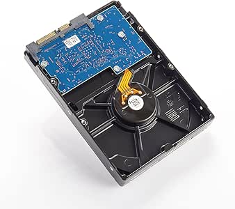 Amazon.com: SANNCE Professional DVR/NVR 1TB Surveillance Hard Drive, 3