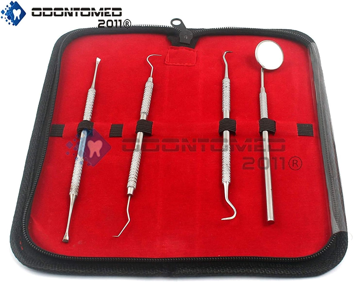 OdontoMed2011® Dental Hygiene Tools KIT Dental