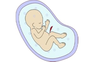 iPregnancy And Baby Guide App - Great App for Pregnancy Diet