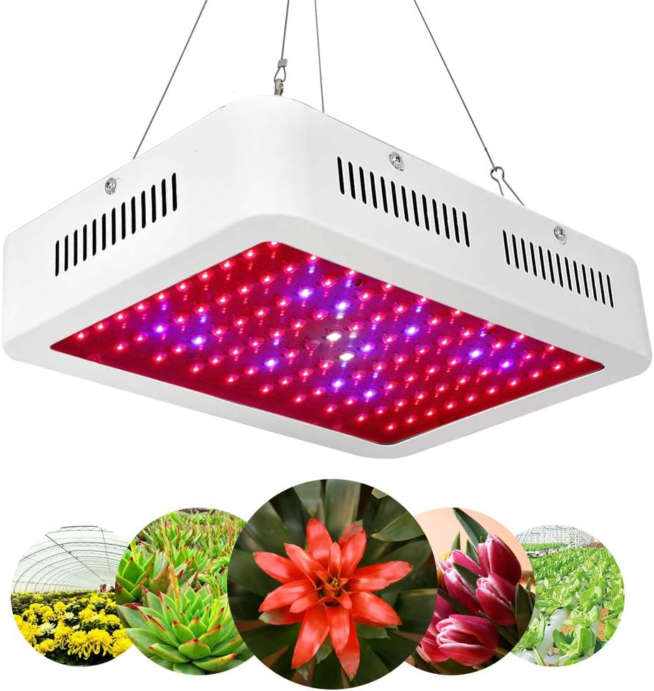 LED Grow Light for Indoor Plants Growing Lamp 600W Dual Chips 380730nm Plant