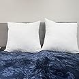 Southwest Canyon White Euro Bed 26x26 Pillow Inserts Hotel Quality Specially Supplied (Set of 2)