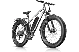 Funhang Electric Bike for Adults, 1000W Peak Ebike, 25MPH 60Miles Electric Mountain Bike, 26" Fat Tire Electric Bicycle with 48V 13AH Battery, Front Suspension,7 Speed, Rear Rack, UL 2849 Certified