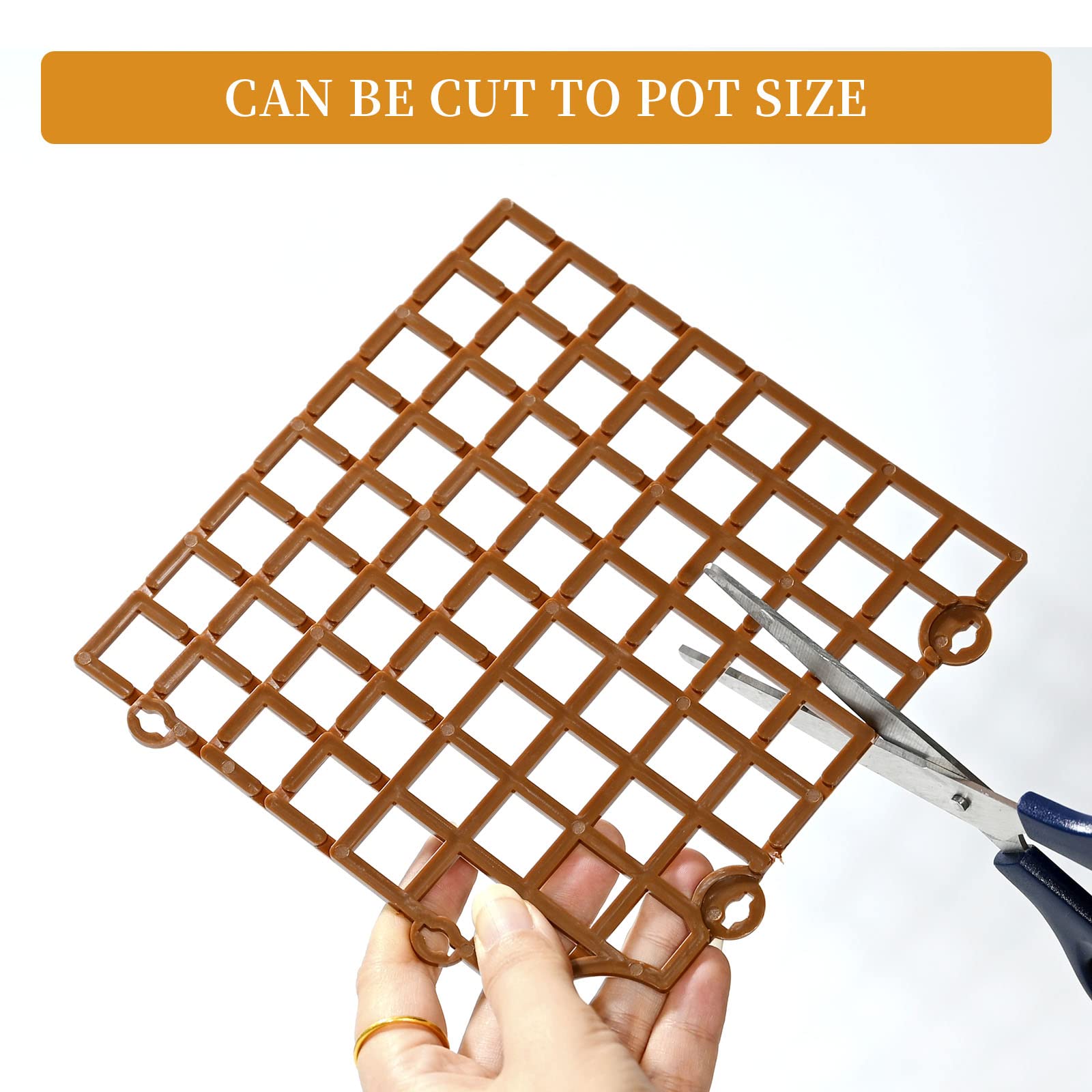 View 5