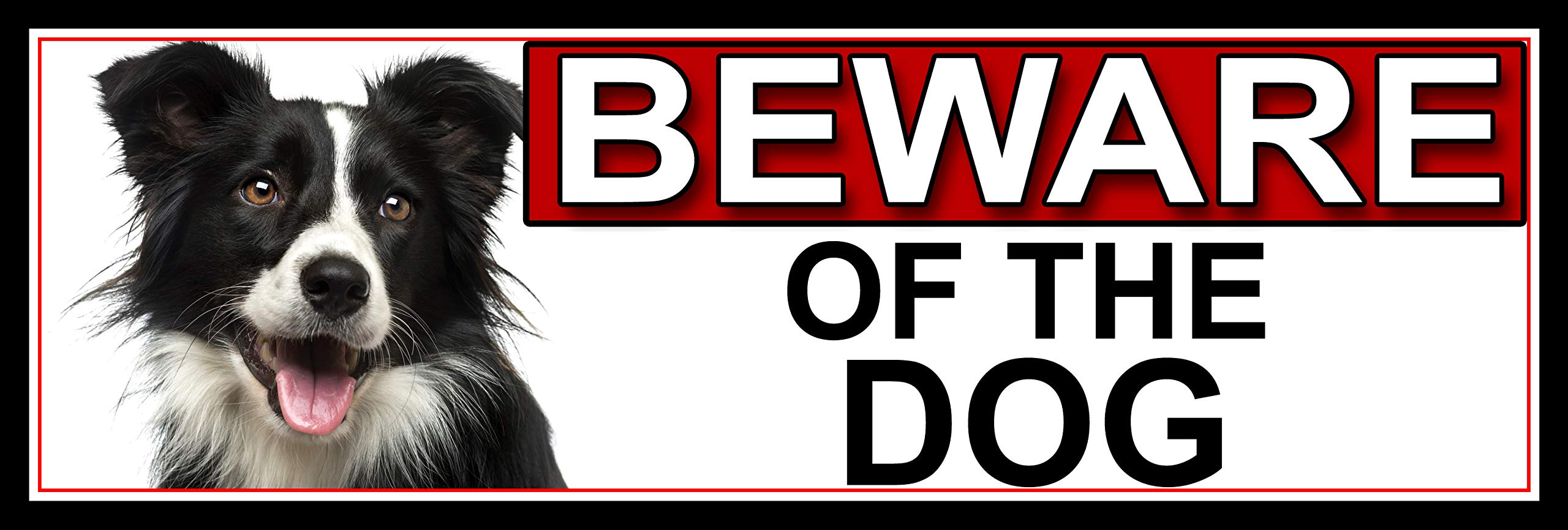 Shawprint Border Collie BEWARE OF THE DOG METAL GATE SIGN 266mm x 87m. (504H2)