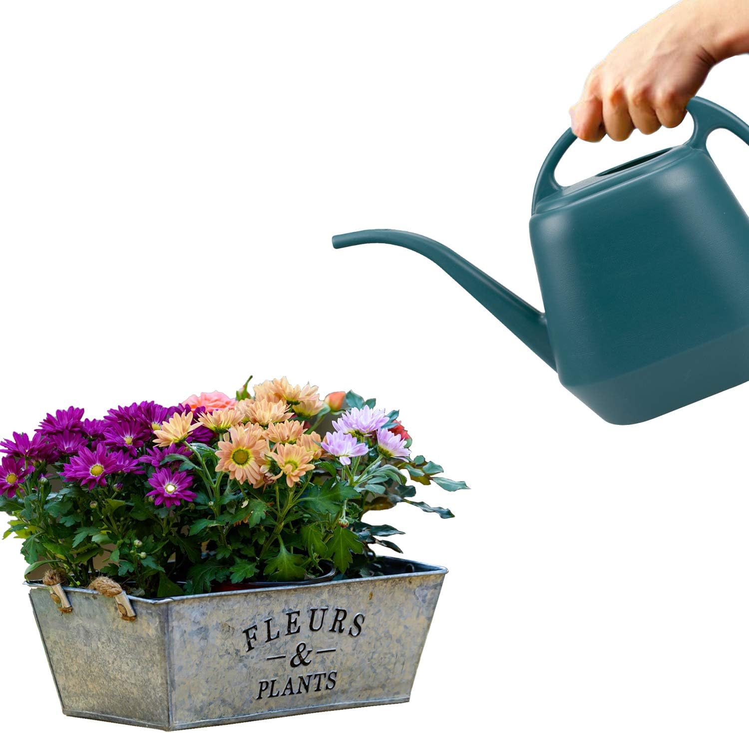 Fasmov Plastic Watering Can, 1-Gallon, Green : Garden & Outdoor