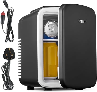 Reemix Mini Fridge 4L 6 Can Portable AC/DC Cooler Warmer Black