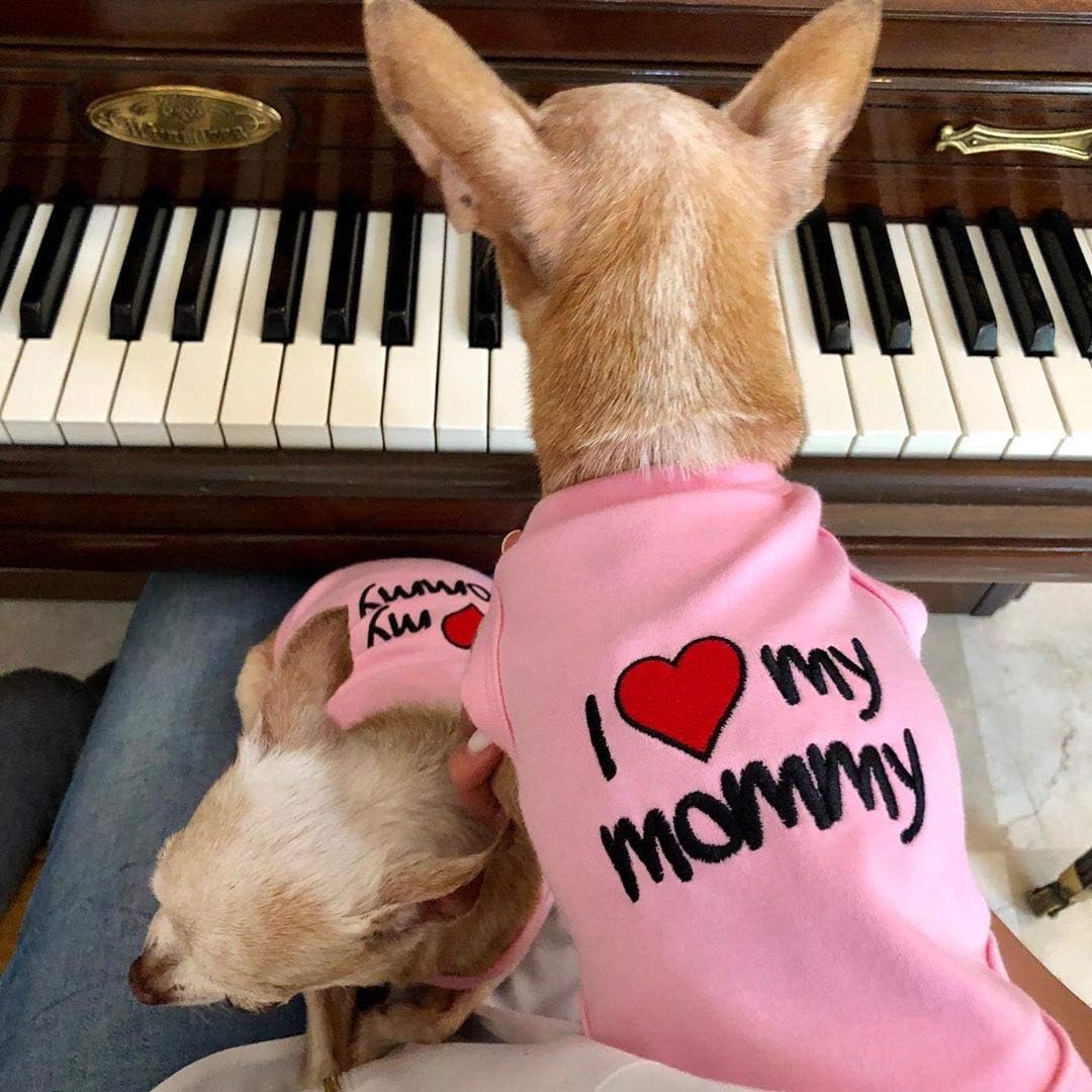 Parisian Pet I Love Mommy Dog T-Shirt, XX-Large, Pink, I Love My Mommy - Pink, XXL - Image 5