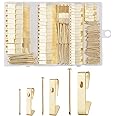 Picture Hangers,Picture Hanging Kit, COOLOGIN Heavy Duty Picture Hooks with Nails and Hardware for Wall Mounting Picture Frame, Canvas, Mirror Hanging, Holds 10-100 lbs,Golden (160pcs)