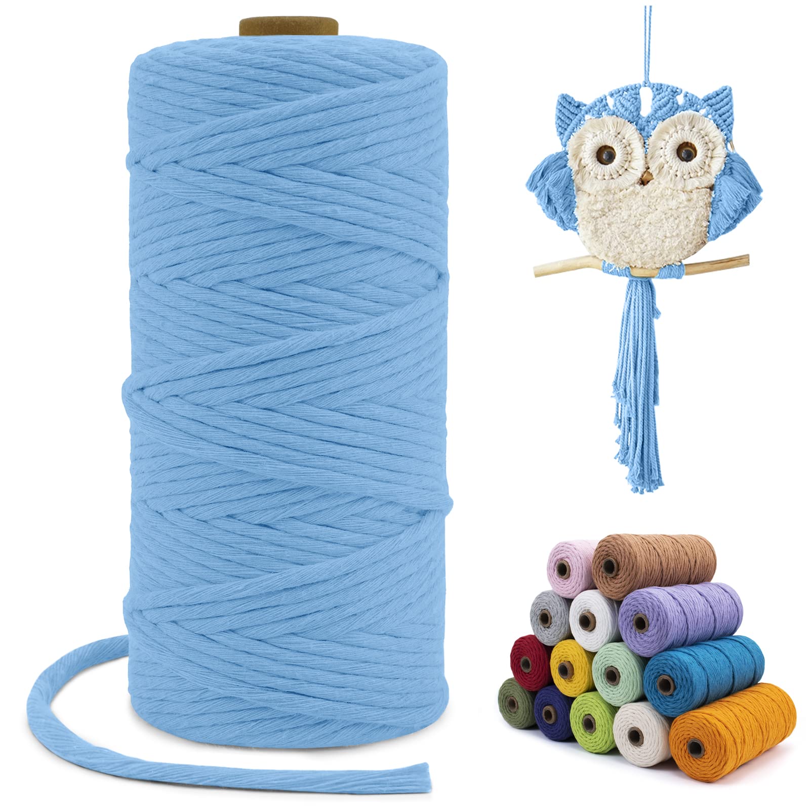 LEREATI Macrame Cord 3mm x 100m, Single Strand Thick Macrame Rope Yarn Natural Cotton Cord, Craft Macrame String for Plant Hanger, Wall Hanging, Knitting, DIY, Home Decorations (Sky Blue) — image 1