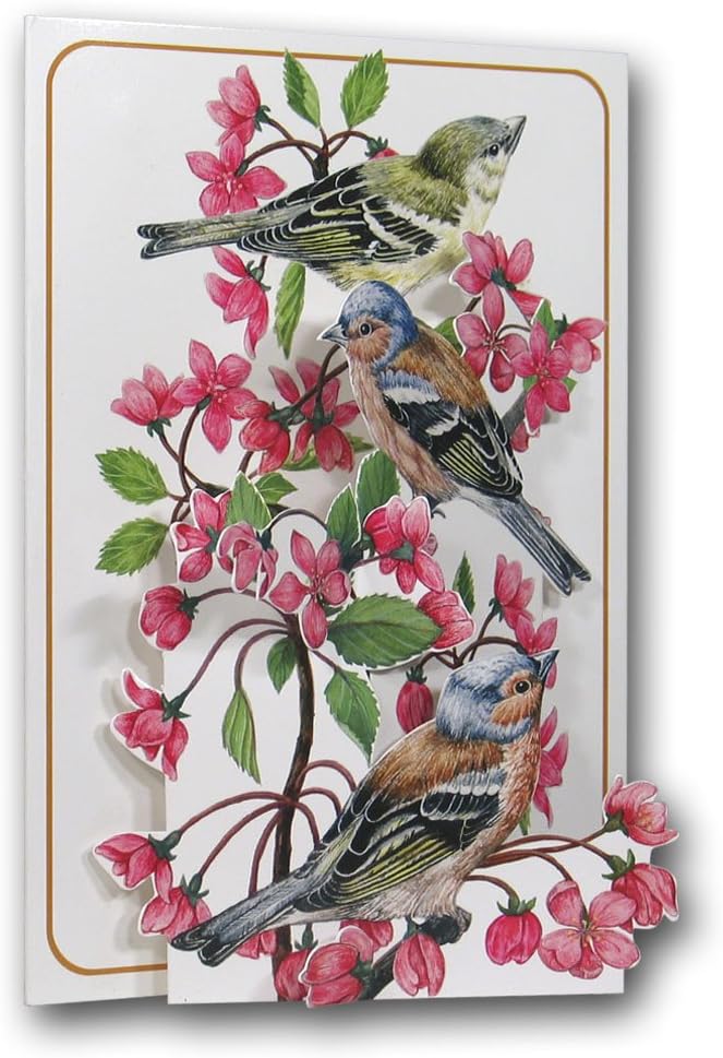 Chaffinches - Birds - a 3D Pop Up Greeting Card from The Pictoria Press
