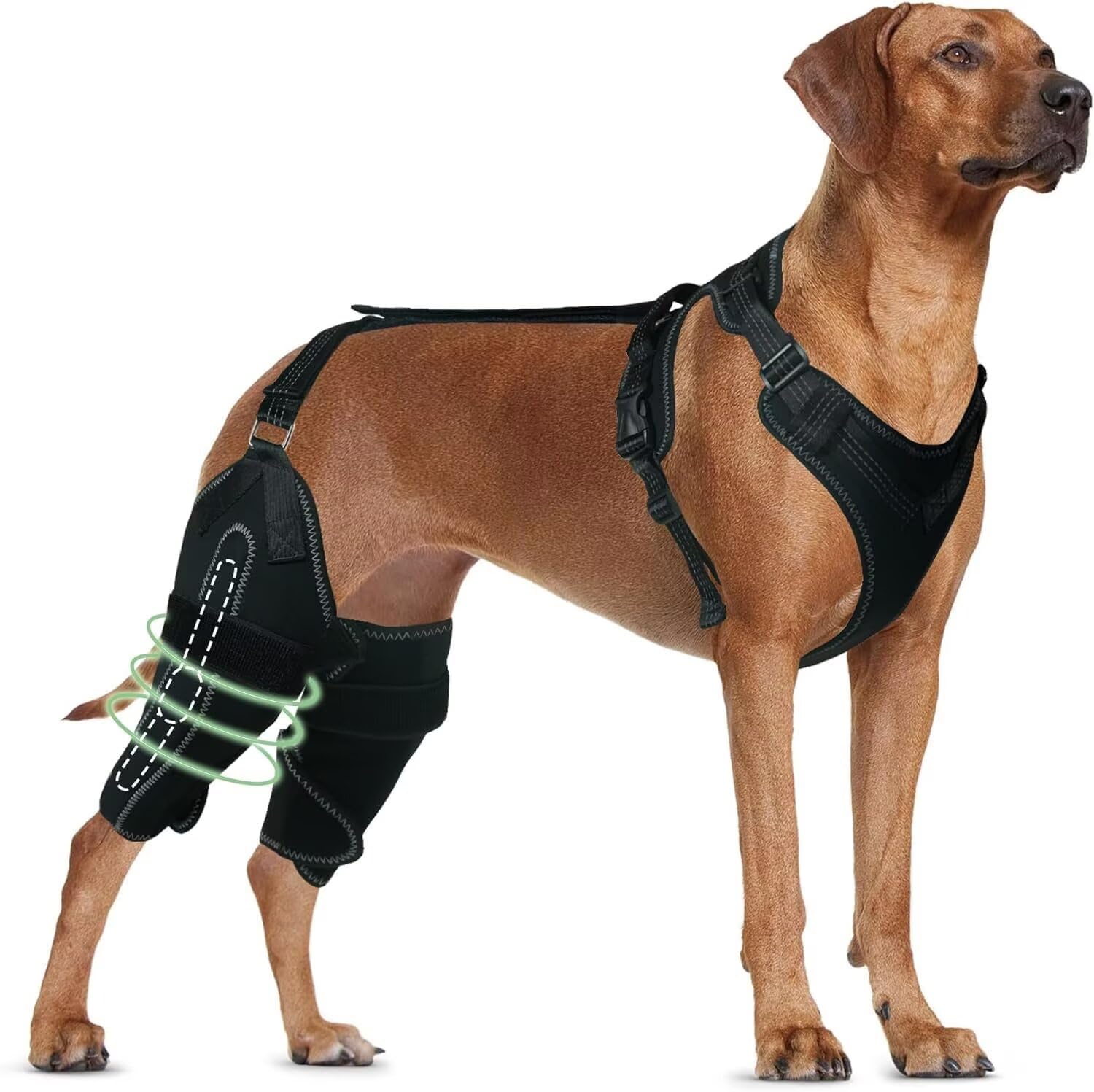 Photo 1 of TIPOOP Dog Knee Brace for ACL/CCL Injuries,Torn Ligament,Pain Relief,Joint Warmth,Luxating Patella - Rear Leg Support,Both Legs,Black,(Size:L)