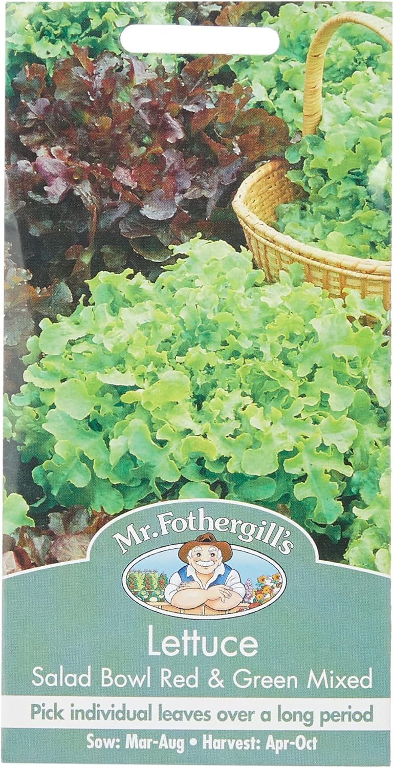 Mr Fothergill's 17329 Vegetable Seeds, Lettuce Salad Bowl Red & Green Mixed, red/Green