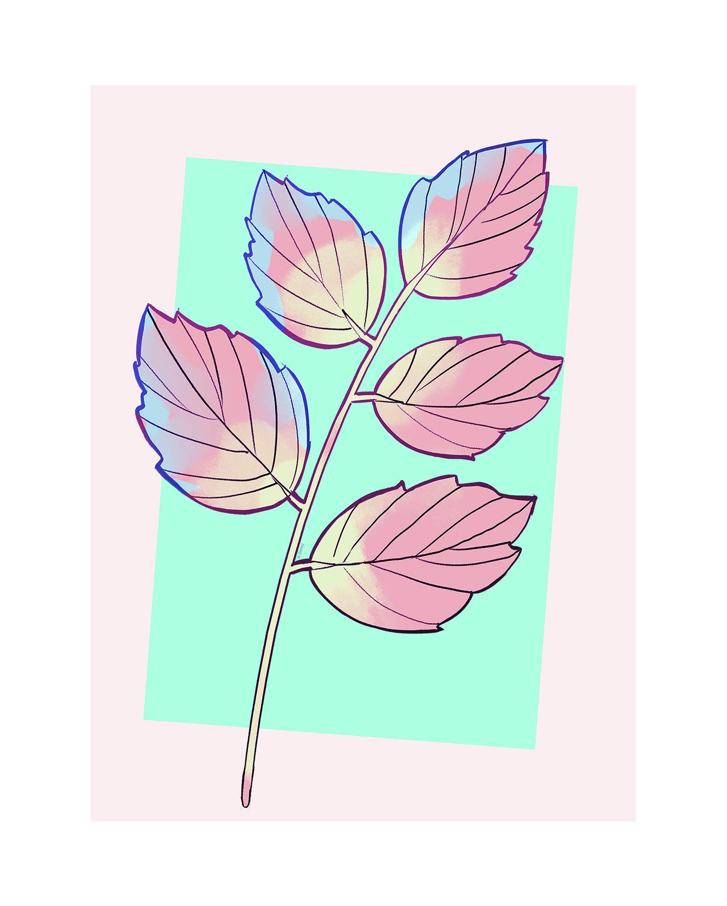 Komar Cinderella Plant, Colourful, 40 x 50 cm